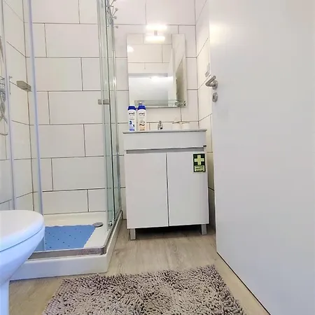 - New Botanic Garden Petit Apartment Funchal (Madeira)